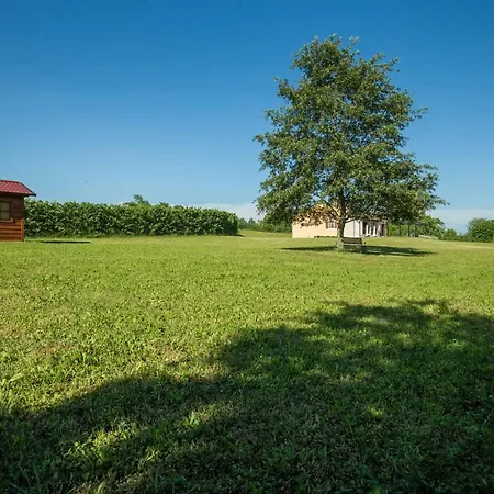Villa Elida With Heated Pool - Istria